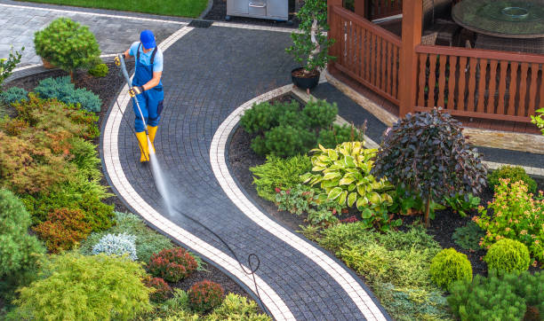 Best House Pressure Washing  in Medina, NY