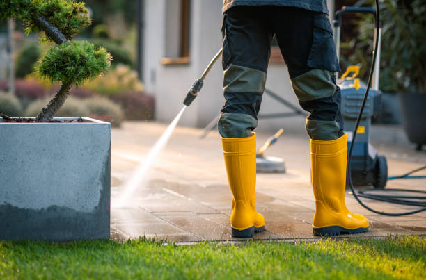 Best Commercial Building Pressure Washing  in Medina, NY